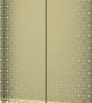 elevator door 001 (3)